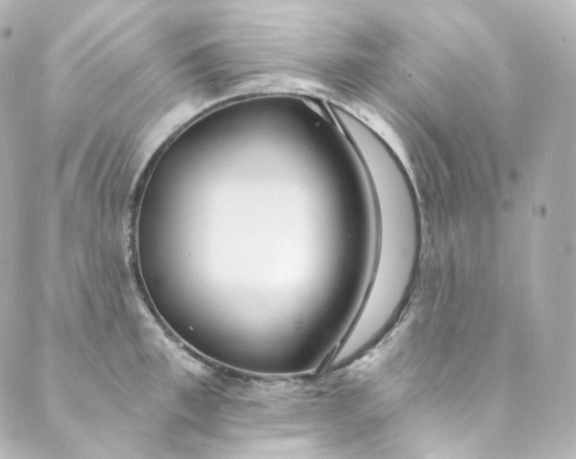 X0000088840997200706281817