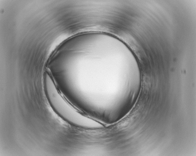 X0000088840998200706281817