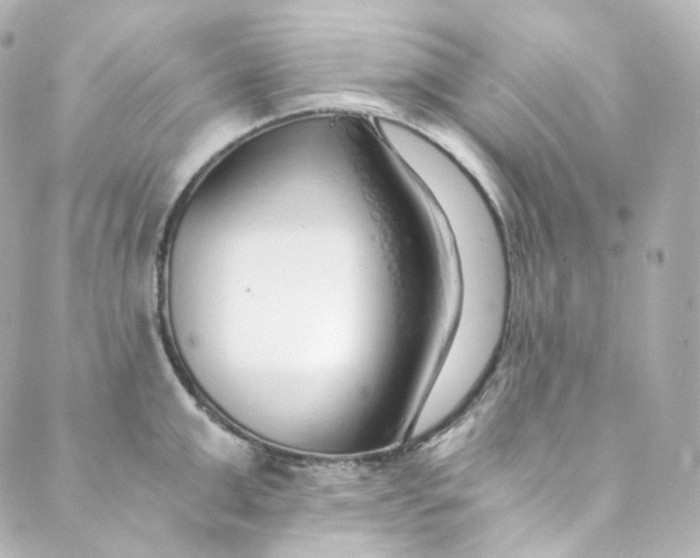 X0000088840999200706281817