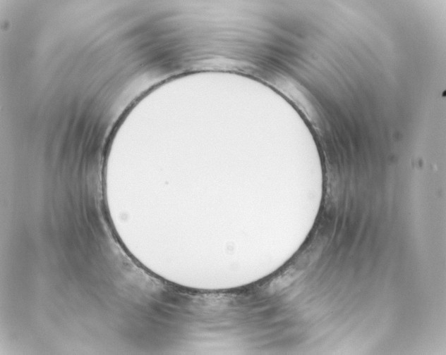 X0000088841000200706281817