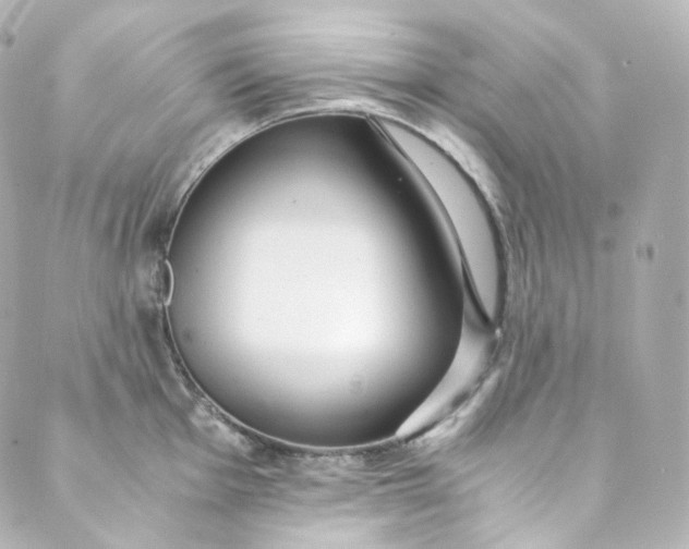 X0000088841001200706281817