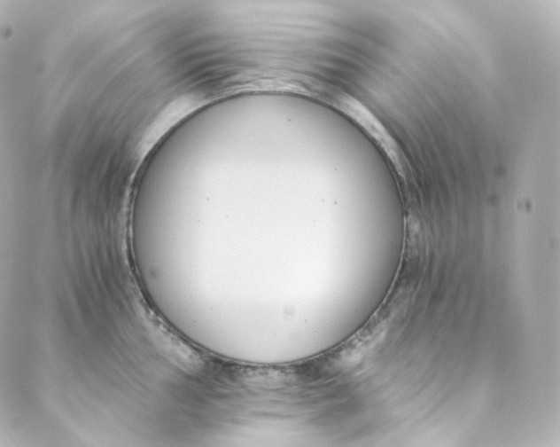 X0000088841002200706281817