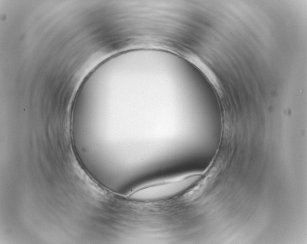 X0000088841004200706281817