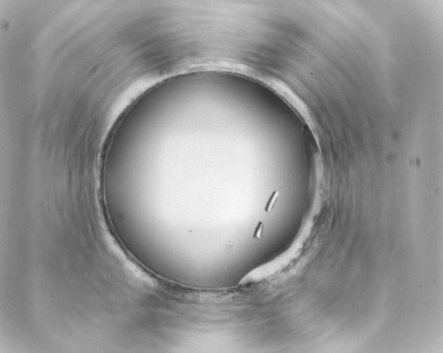 X0000088841005200706281817