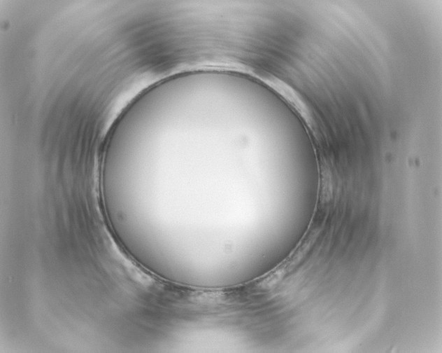 X0000088841006200706281817