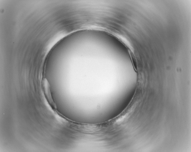 X0000088841007200706281817