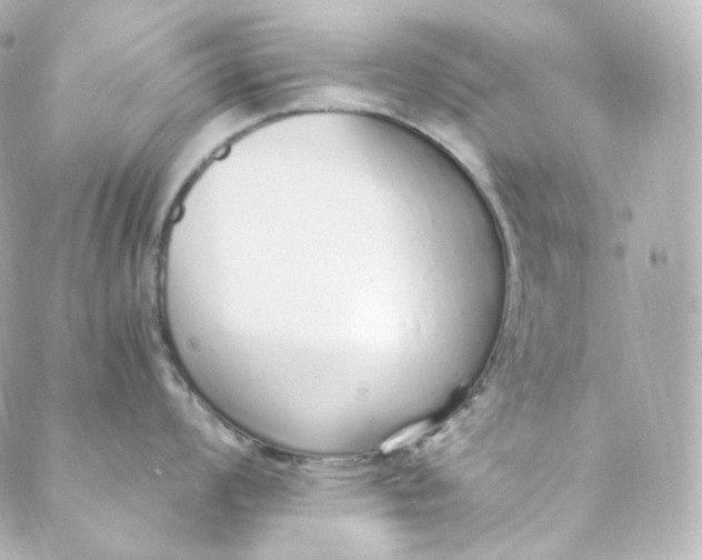 X0000088841008200706281817