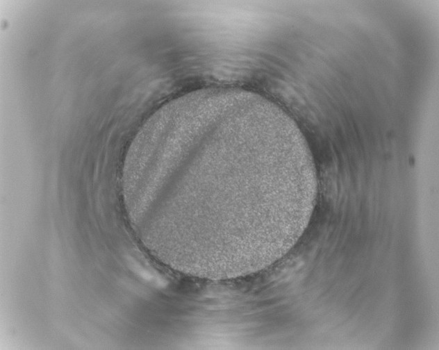 X0000088841009200706281816