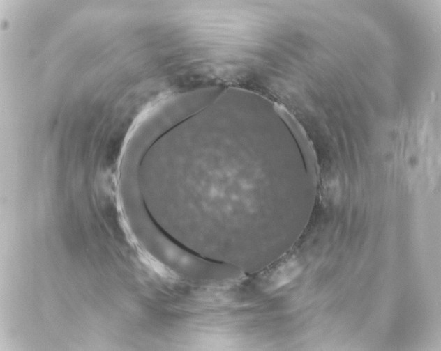 X0000088841010200706281816