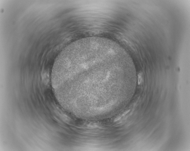 X0000088841011200706281816