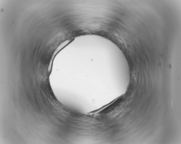 X0000088841012200706281816