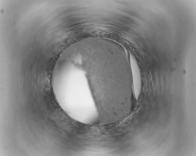 X0000088841013200706281816