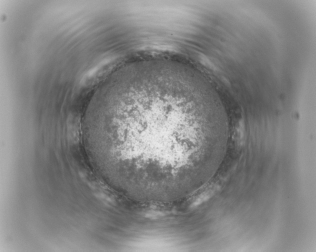 X0000088841014200706281816