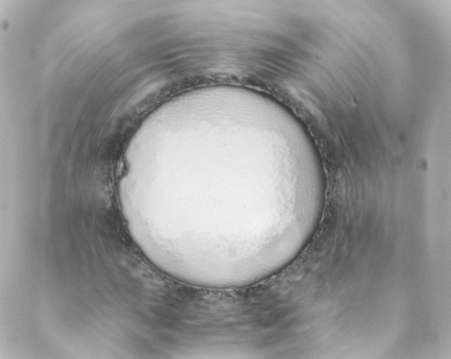 X0000088841015200706281816