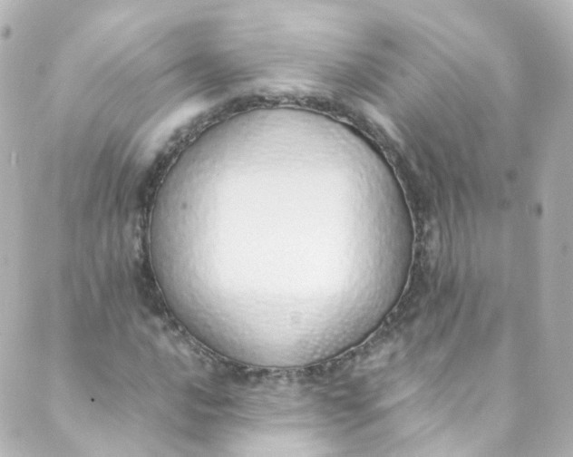 X0000088841016200706281816