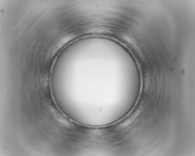 X0000088841017200706281816