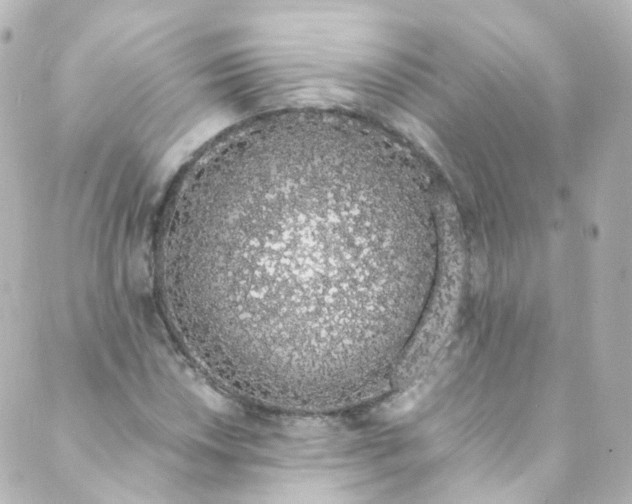 X0000088841018200706281816