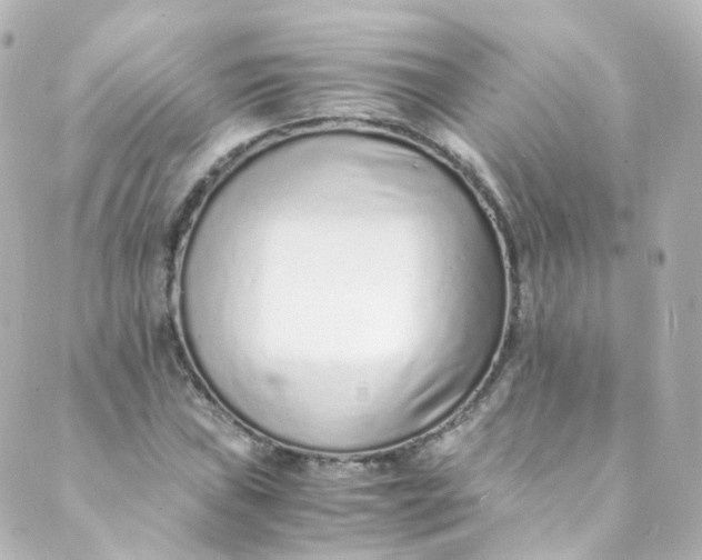 X0000088841019200706281816