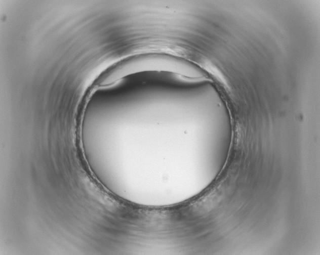 X0000088841020200706281816