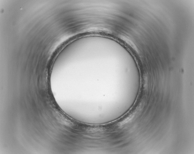 X0000088841021200706281816