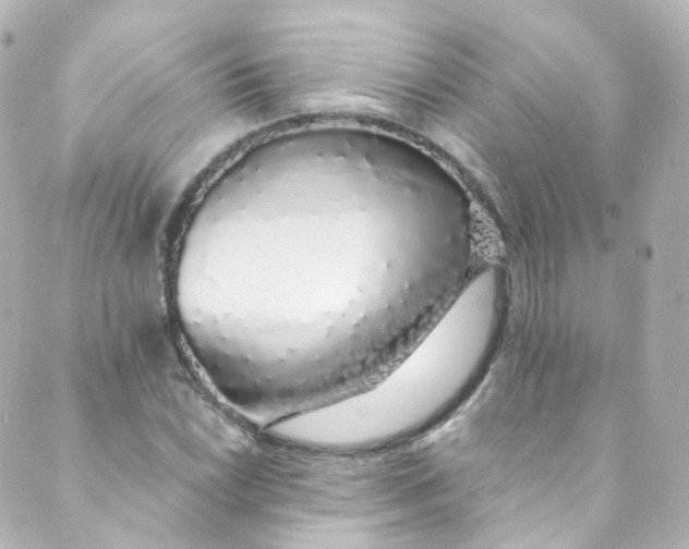 X0000088841022200706281816