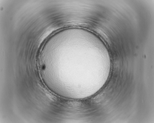 X0000088841023200706281816