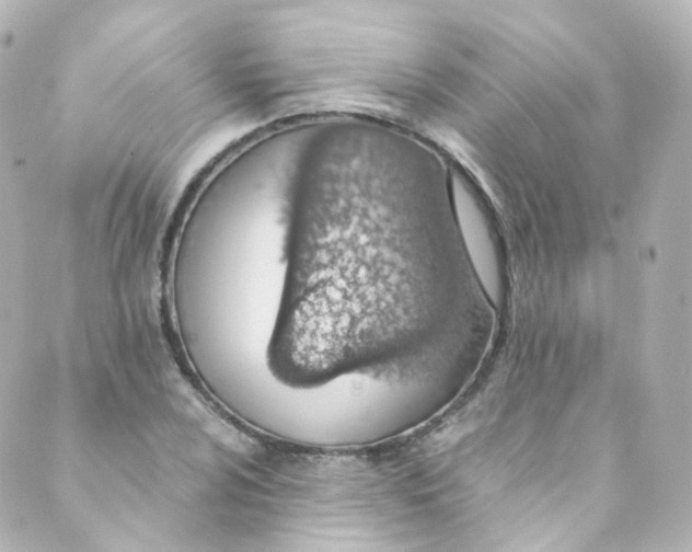 X0000088841024200706281816