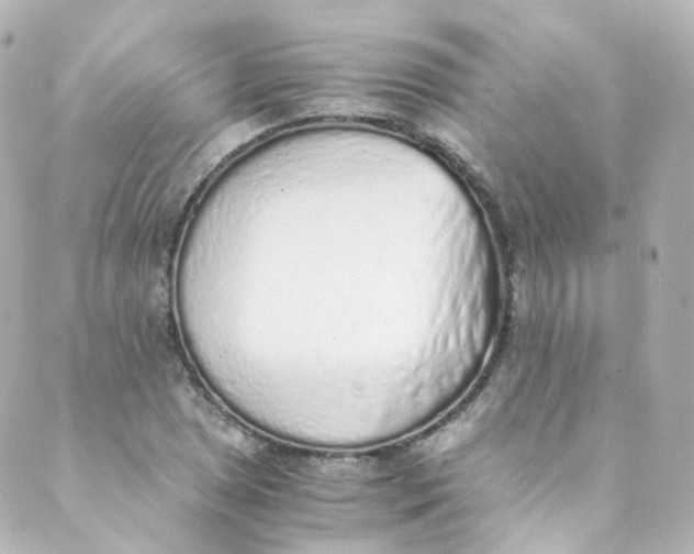 X0000088841025200706281816