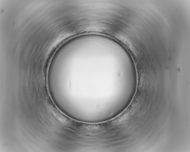 X0000088841027200706281816