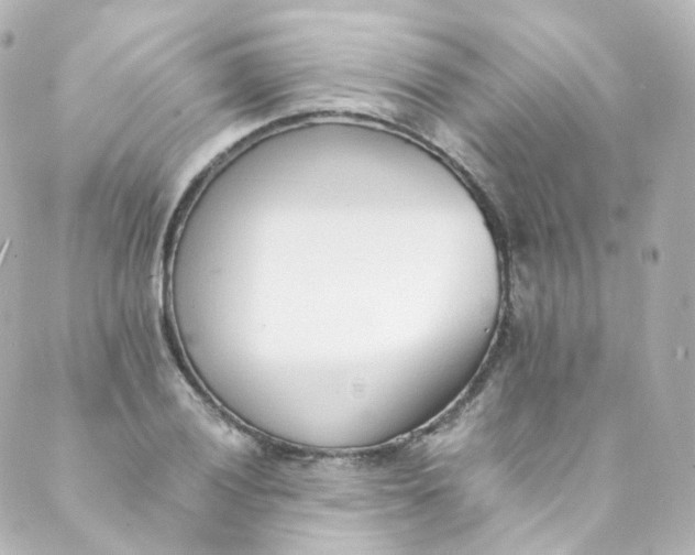 X0000088841028200706281816