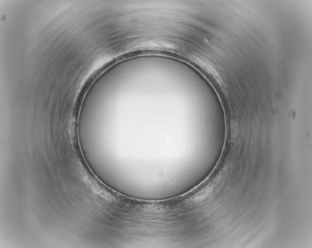 X0000088841029200706281816