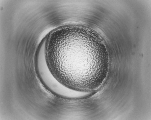 X0000088841030200706281816