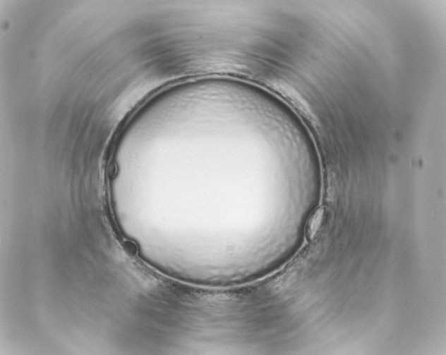 X0000088841031200706281816