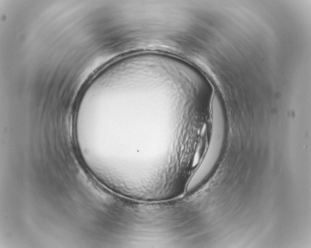 X0000088841032200706281816