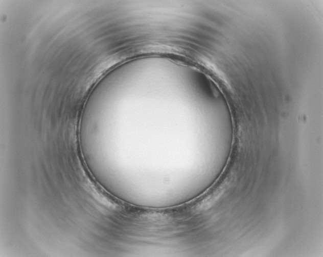 X0000088841033200706281816