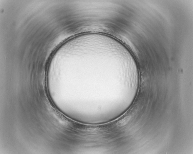 X0000088841035200706281816