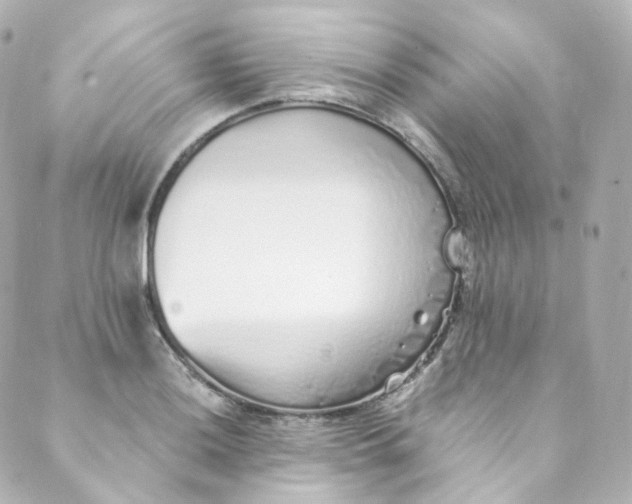 X0000088841036200706281816