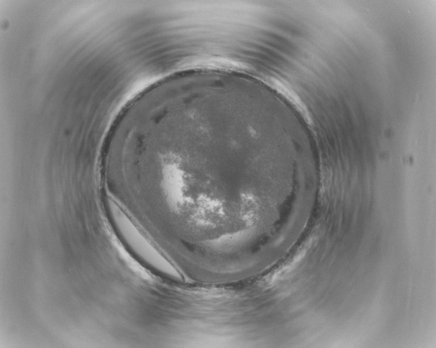 X0000088841037200706281816