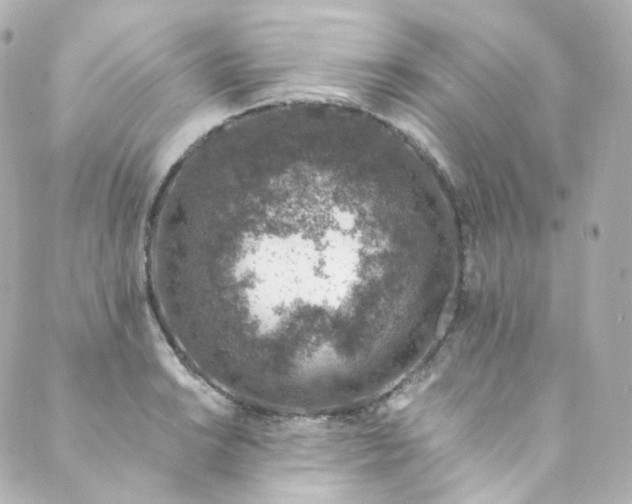 X0000088841038200706281816