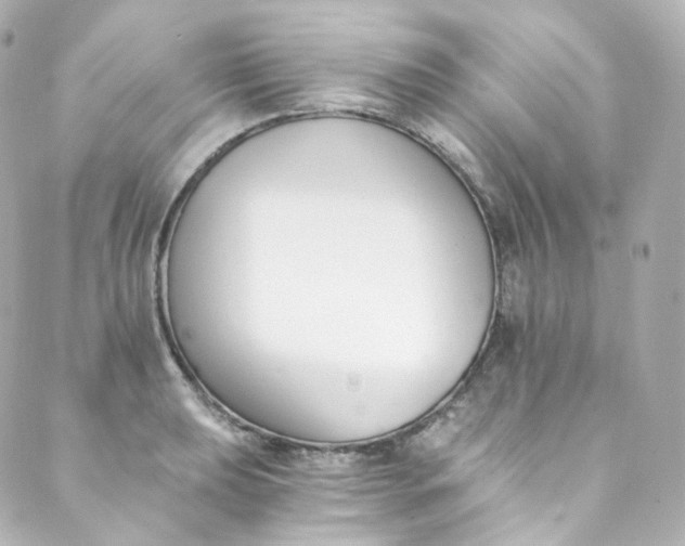 X0000088841039200706281816