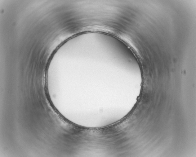 X0000088841040200706281816