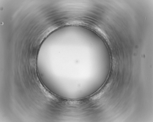 X0000088841041200706281816