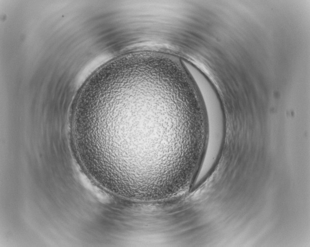 X0000088841042200706281816