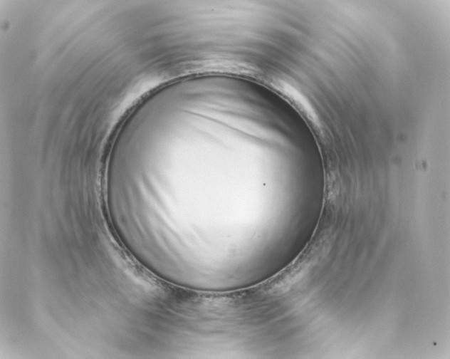 X0000088841043200706281816