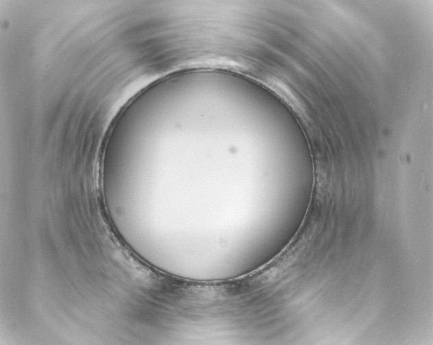 X0000088841044200706281816