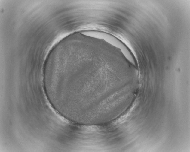 X0000088841045200706281816