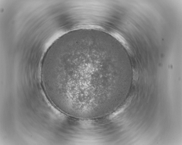 X0000088841046200706281816