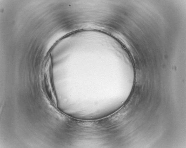 X0000088841048200706281816