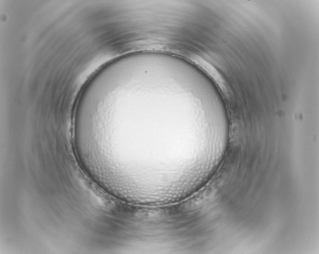 X0000088841051200706281816