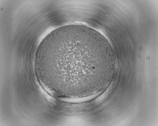 X0000088841054200706281817